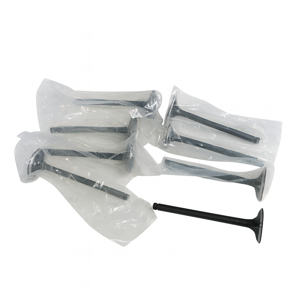 VALVULA ESCAPE ALTERNO JAC T6 2.0