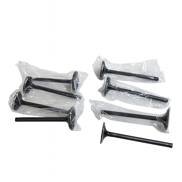 VALVULA ADMISION ALTERNO JAC T6 2.0