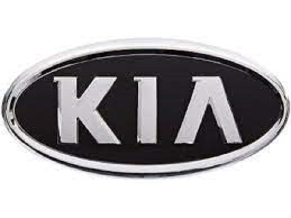 EMBLEMA GUARDACHOQUE KIA RIO 1.4 RIO R 1.4 RIO 1.4